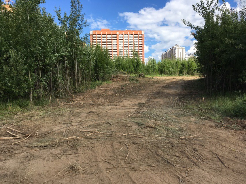 На днях возле парка “Дружба” вырубили просеку. Возможно, это первый этап застройки зеленой зоны жилыми домами.
