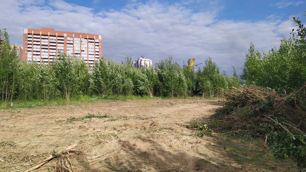 На днях возле парка “Дружба” вырубили просеку. Возможно, это первый этап застройки зеленой зоны жилыми домами.
