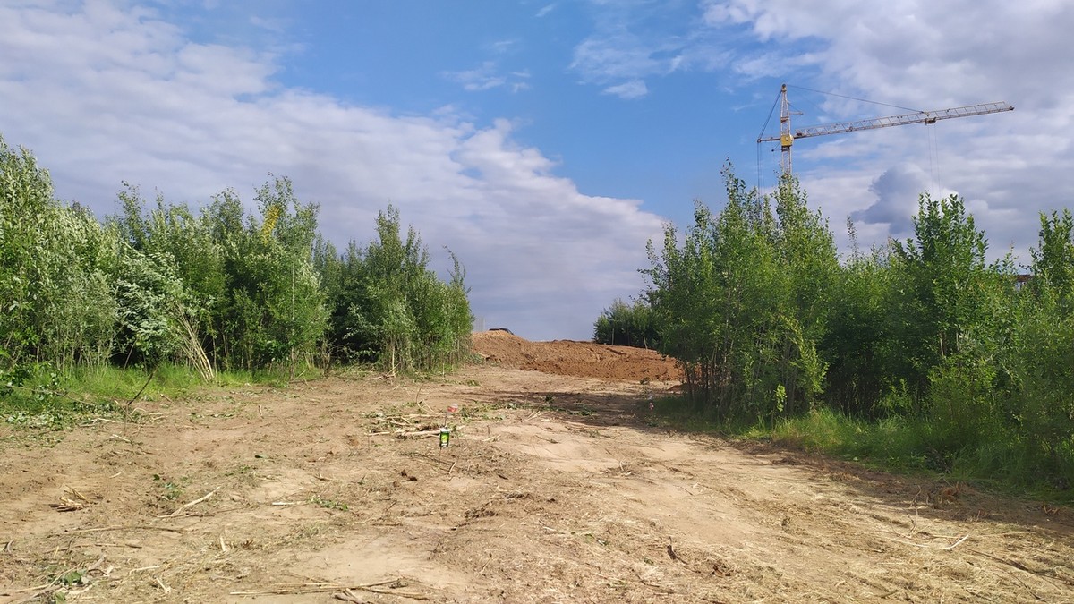 На днях возле парка “Дружба” вырубили просеку. Возможно, это первый этап застройки зеленой зоны жилыми домами.