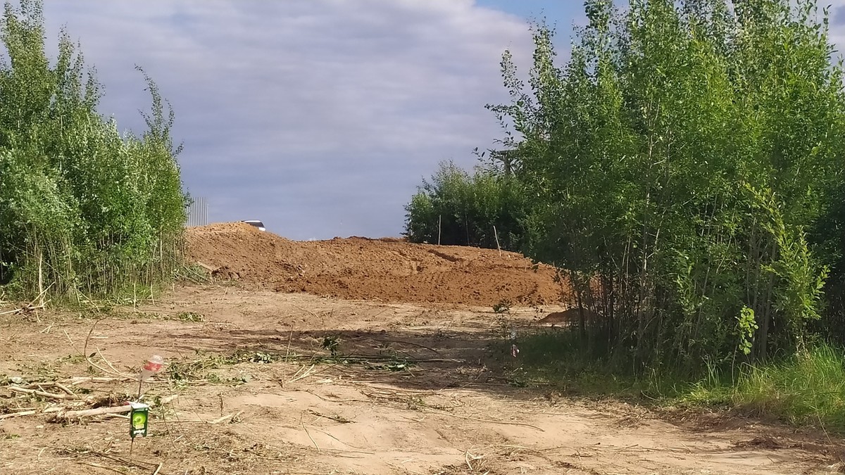 На днях возле парка “Дружба” вырубили просеку. Возможно, это первый этап застройки зеленой зоны жилыми домами.