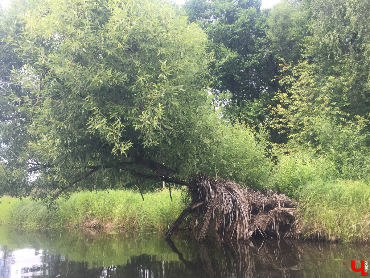 Корреспондент “Ключ-Медиа” сплавился на байдарке по реке Судогда. Маршрут пролегал от одноименного города до места впадения реки в Клязьму. Какие же локации стали самыми интересными? Узнаете, прочитав наш материал.