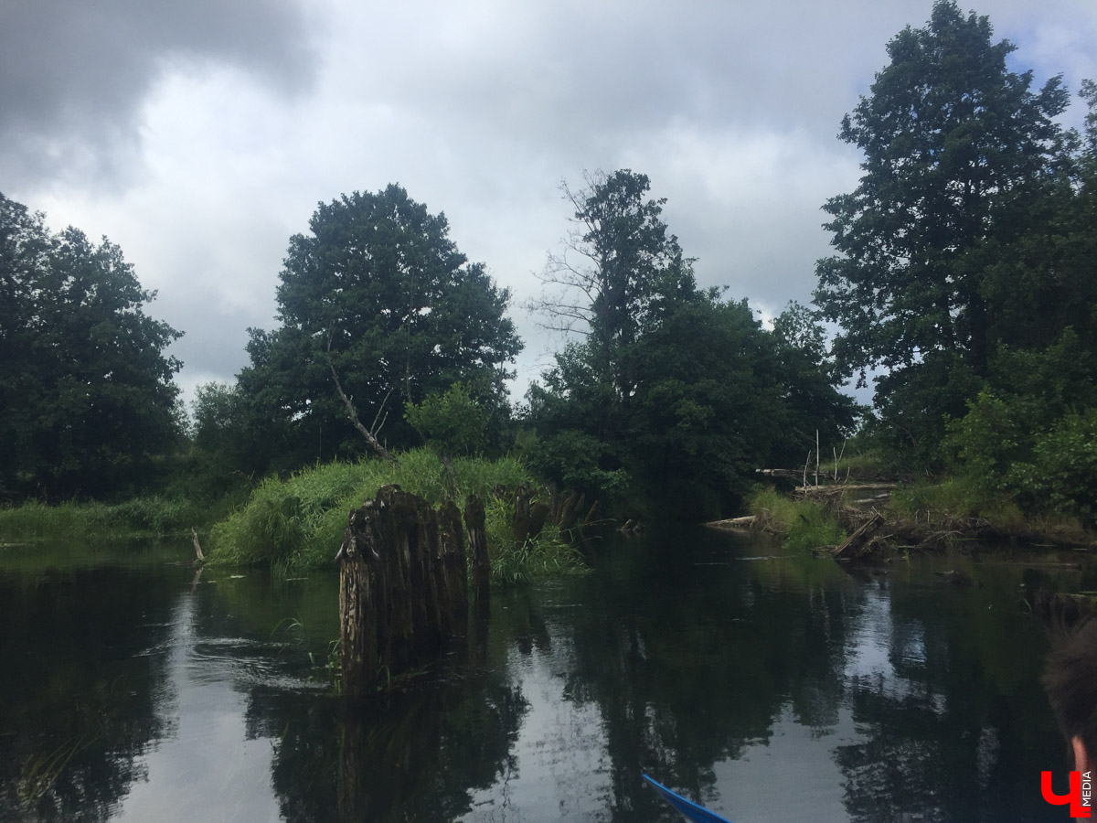 Корреспондент “Ключ-Медиа” сплавился на байдарке по реке Судогда. Маршрут пролегал от одноименного города до места впадения реки в Клязьму. Какие же локации стали самыми интересными? Узнаете, прочитав наш материал.