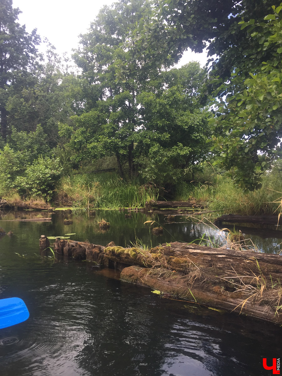 Корреспондент “Ключ-Медиа” сплавился на байдарке по реке Судогда. Маршрут пролегал от одноименного города до места впадения реки в Клязьму. Какие же локации стали самыми интересными? Узнаете, прочитав наш материал.