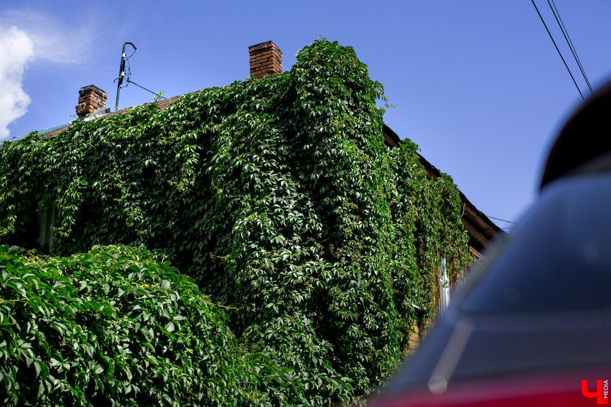 Архитектурная летняя школа “Точка роста” проводит воркшоп по исследованию и переосмыслению старой жилой застройки города Владимира.