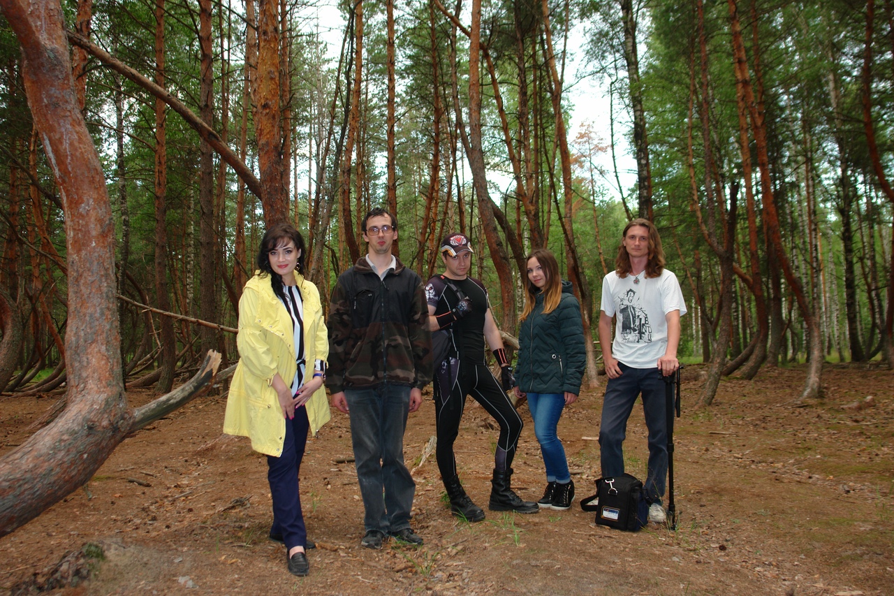 Исследователь аномальных явлений Дмитрий Савва побывал в “пьяном” лесу. Это загадочное место в Рязанской области, где растут странно изогнутые деревья.