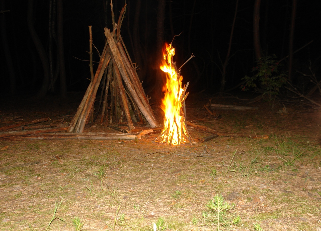 Исследователь аномальных явлений Дмитрий Савва побывал в “пьяном” лесу. Это загадочное место в Рязанской области, где растут странно изогнутые деревья.