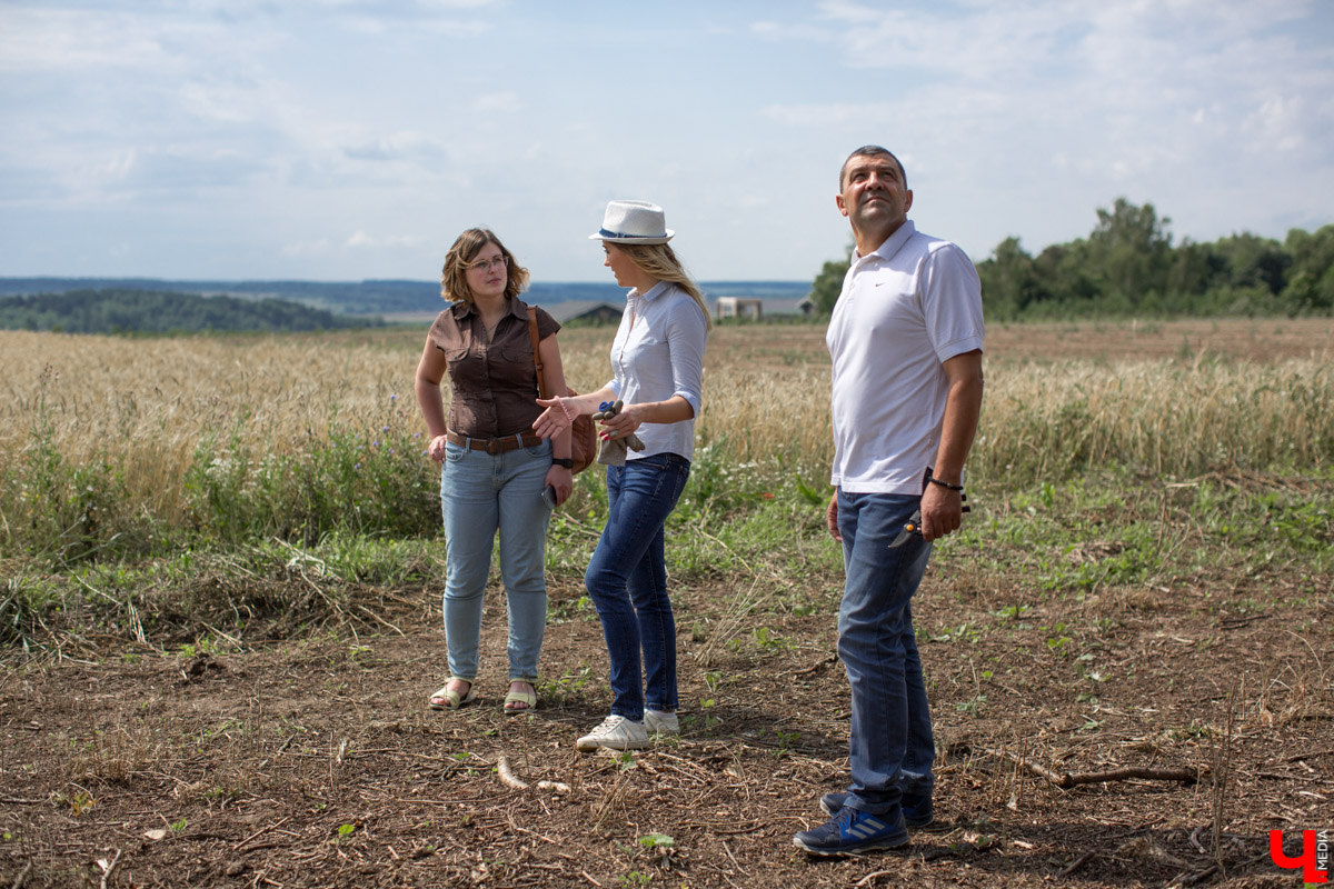 В Юрьев-Польском районе реализуется уникальный проект “Малина в шоке”. Владимирский хлебокомбинат планирует выращивать ягоды в промышленных масштабах