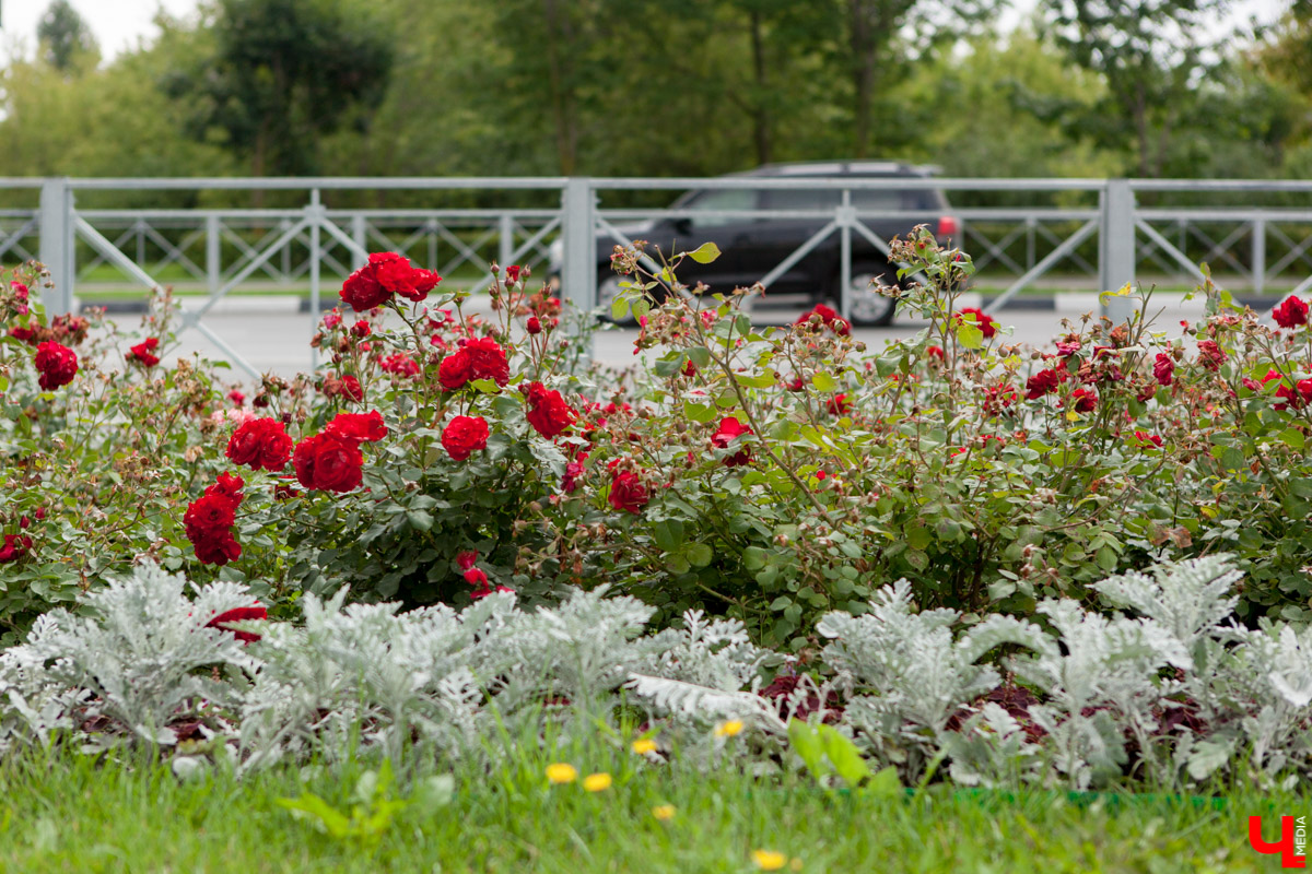 Во Владимире установили 2,5 км ограждений рядом с перекрестками. Это сделано для повышения безопасности дорожного движения. Но есть у ноу-хау серьезные минусы. Мы попросили архитекторов предложить альтернативные способы.