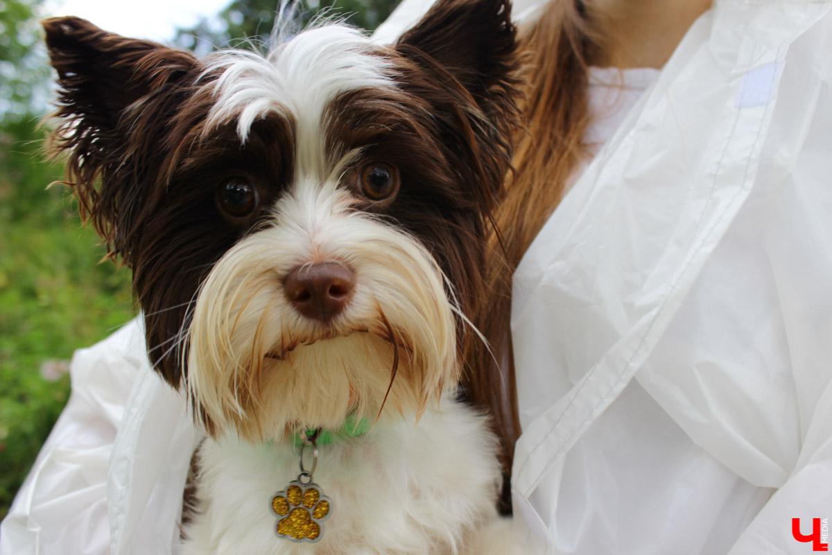 Очередной арт-субботник состоялся в парке у ДТЮ. Волонтеры установили спонсорские скамейки, собрали мусор и рассказали о перспективах благоустройства