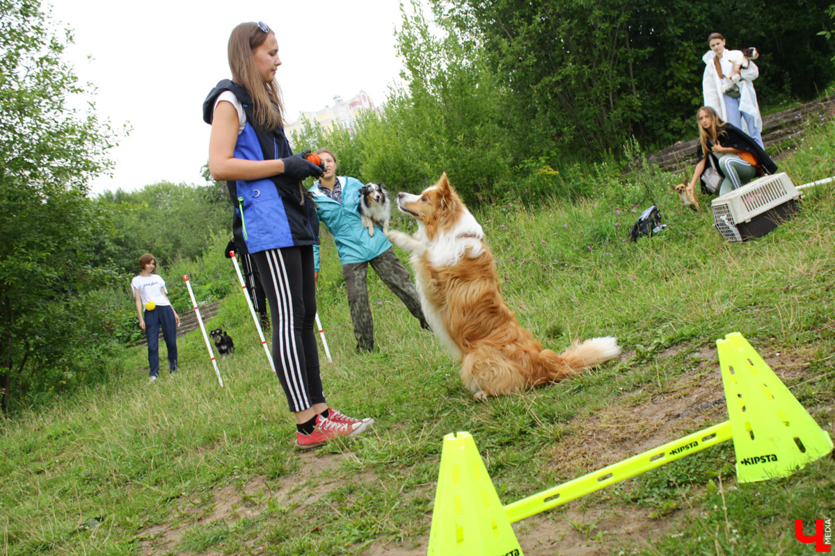 Очередной арт-субботник состоялся в парке у ДТЮ. Волонтеры установили спонсорские скамейки, собрали мусор и рассказали о перспективах благоустройства. 