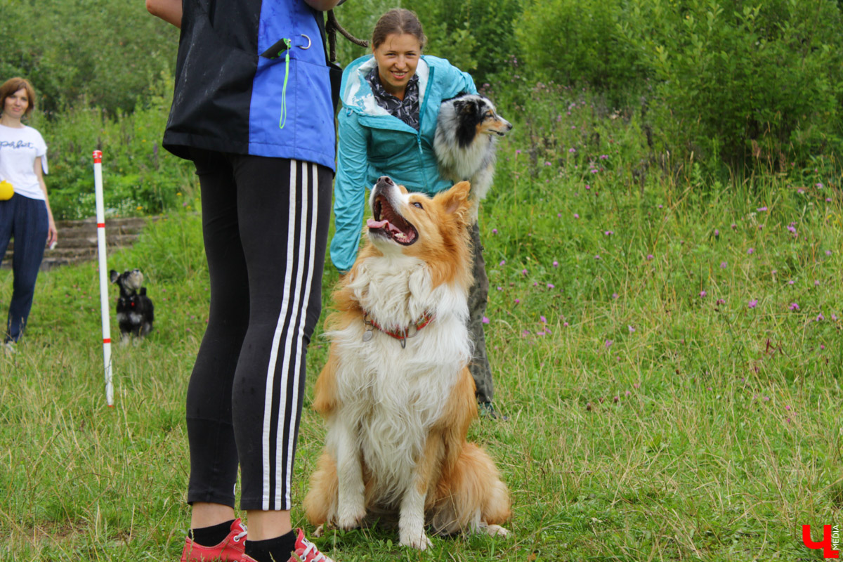 Очередной арт-субботник состоялся в парке у ДТЮ. Волонтеры установили спонсорские скамейки, собрали мусор и рассказали о перспективах благоустройства. 