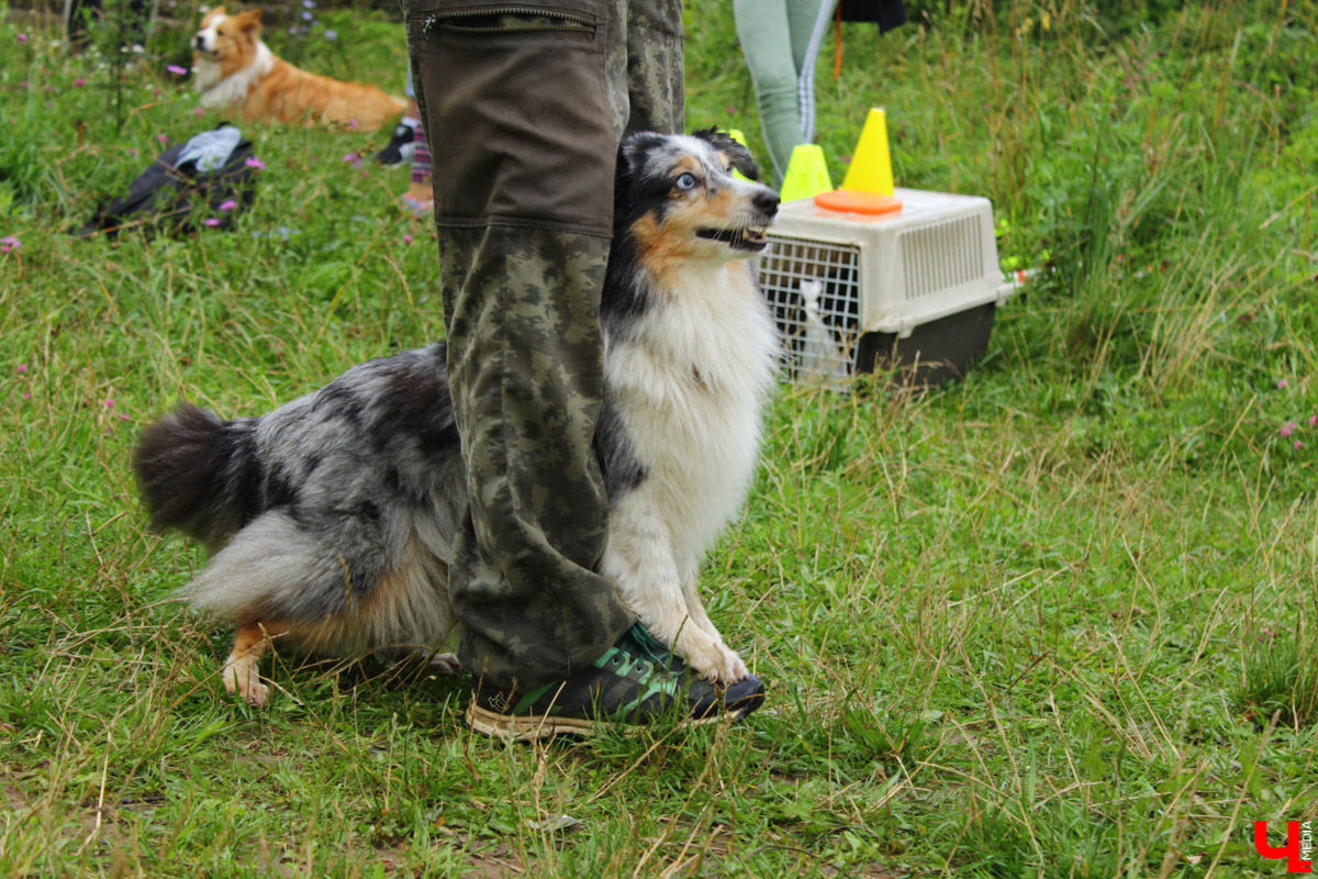 Очередной арт-субботник состоялся в парке у ДТЮ. Волонтеры установили спонсорские скамейки, собрали мусор и рассказали о перспективах благоустройства. 