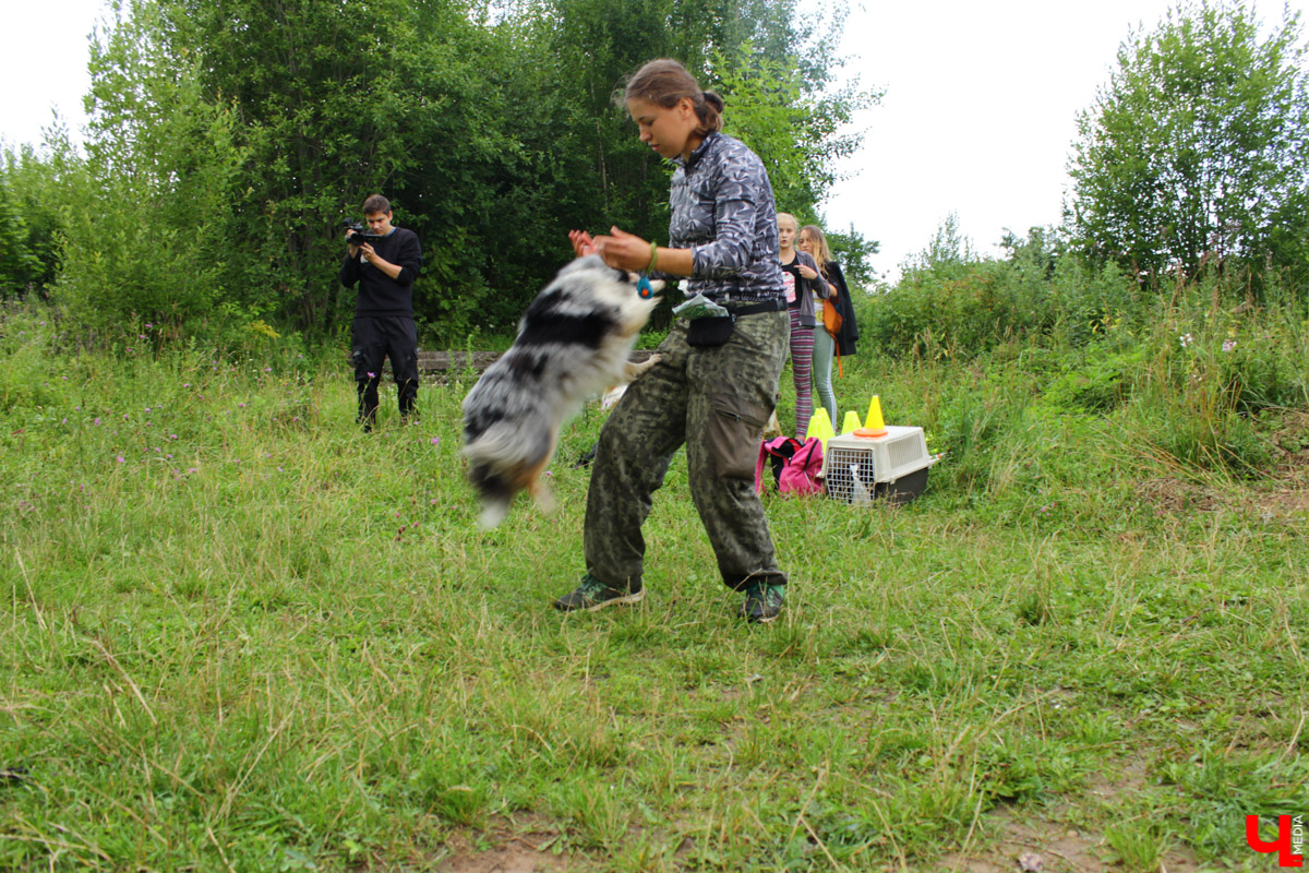 Очередной арт-субботник состоялся в парке у ДТЮ. Волонтеры установили спонсорские скамейки, собрали мусор и рассказали о перспективах благоустройства. 