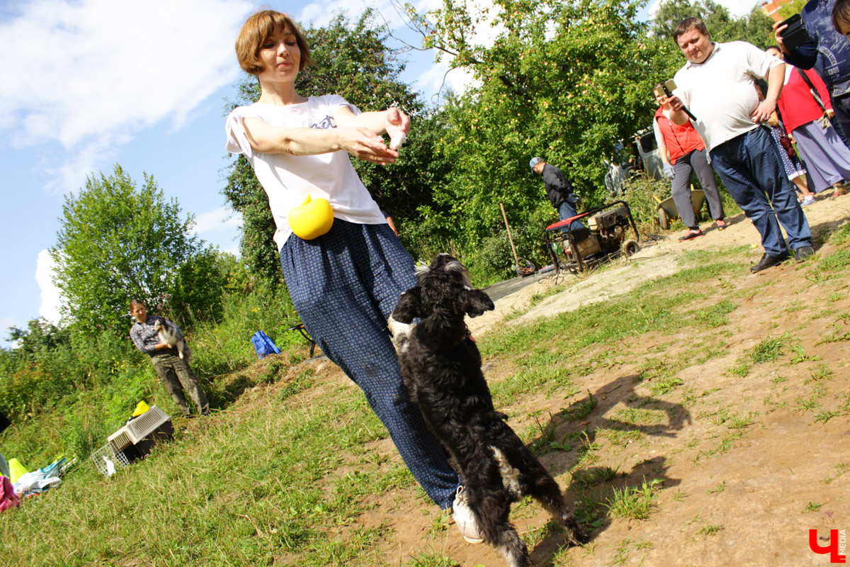 Очередной арт-субботник состоялся в парке у ДТЮ. Волонтеры установили спонсорские скамейки, собрали мусор и рассказали о перспективах благоустройства