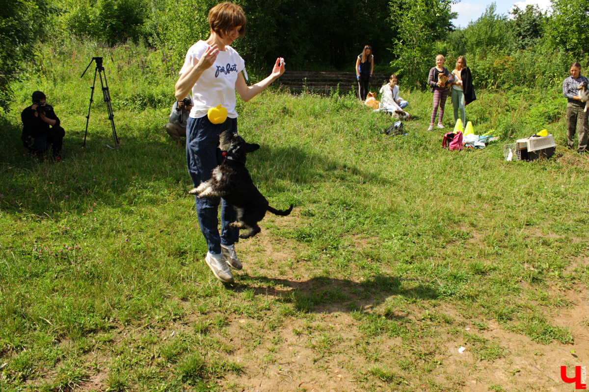 Очередной арт-субботник состоялся в парке у ДТЮ. Волонтеры установили спонсорские скамейки, собрали мусор и рассказали о перспективах благоустройства