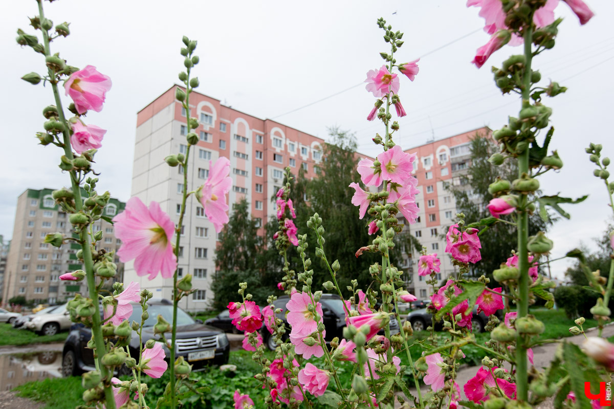 Подведены итоги конкурса “Лучший дом-2019”. Мы пообщались с председателем одного из ТСЖ-победителей. Узнали, что дает это лидерство помимо грамоты и насколько люди вовлечены в жизнь своего дома