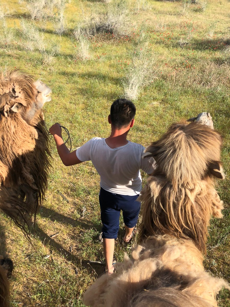 Владимирцы побывали в Узбекистане в гастрономическом туре. Страна поразила чистотой, а еда - экзотическим вкусом