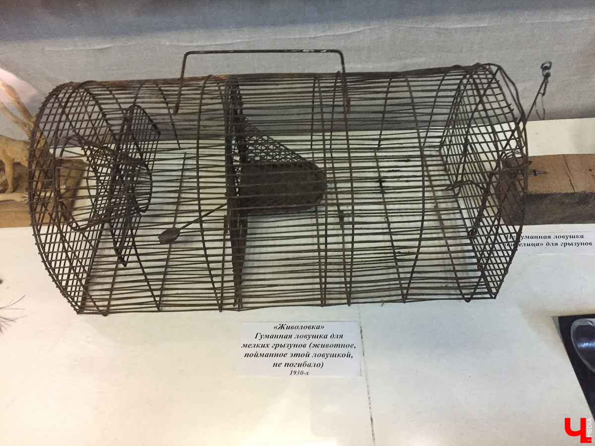 Путешествие выходного дня в Переславль-Залесский в Ярославской области. Что интересного посмотреть, где пообедать и погулять