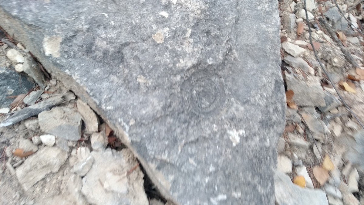 Дюкинский карьер давно заброшен, но из-за отвесных скал и роскошного вида его частенько посещают альпинисты, фотографы и художники. Однако, как оказалось, это место таит в себе и много загадок