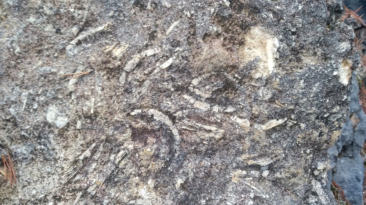 Дюкинский карьер давно заброшен, но из-за отвесных скал и роскошного вида его частенько посещают альпинисты, фотографы и художники. Однако, как оказалось, это место таит в себе и много загадок