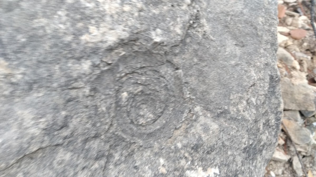 Дюкинский карьер давно заброшен, но из-за отвесных скал и роскошного вида его частенько посещают альпинисты, фотографы и художники. Однако, как оказалось, это место таит в себе и много загадок