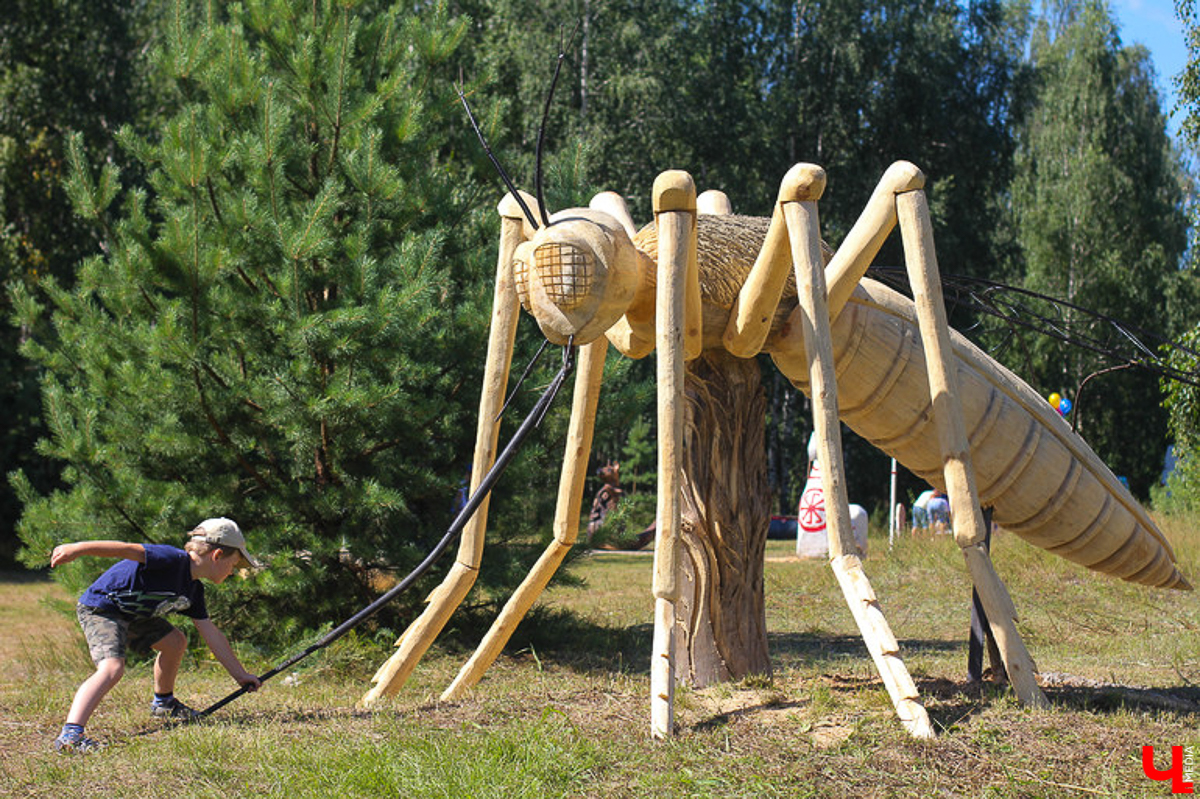 Летние рабочие будни никто не отменял, но выходные остаются теми заветными днями, когда можно всей семьей рвануть за город! Мы собрали для вас пять проверенных и интересных локаций, находящихся во Владимирской и Рязанской областях, куда обязательно стоит заглянуть