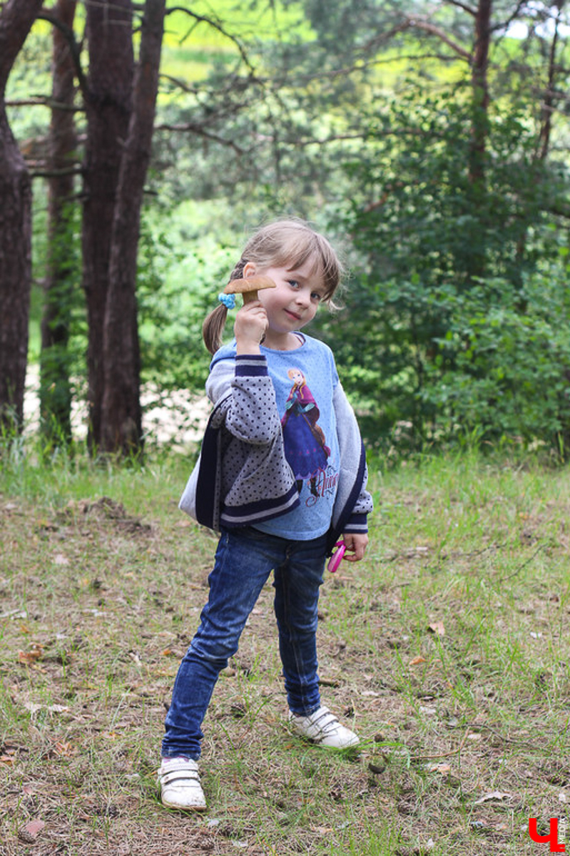 Летние рабочие будни никто не отменял, но выходные остаются теми заветными днями, когда можно всей семьей рвануть за город! Мы собрали для вас пять проверенных и интересных локаций, находящихся во Владимирской и Рязанской областях, куда обязательно стоит заглянуть