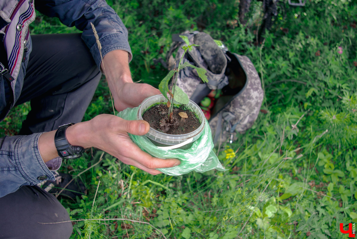Велопутешественник Дмитрий Петров начал сажать дубы еще в 9 классе. С тех пор высадил в грунт больше 200 саженцев деревьев