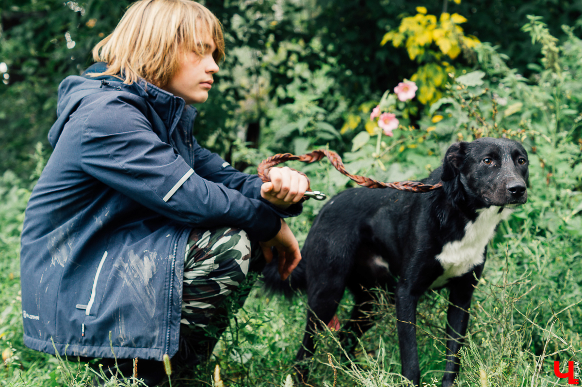 Владимирцы регулярно устраивают выгулы питомцев приюта “Валента”. Присоединиться к инициативной группе может любой желающий