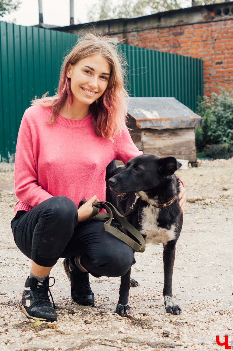 Владимирцы регулярно устраивают выгулы питомцев приюта “Валента”. Присоединиться к инициативной группе может любой желающий