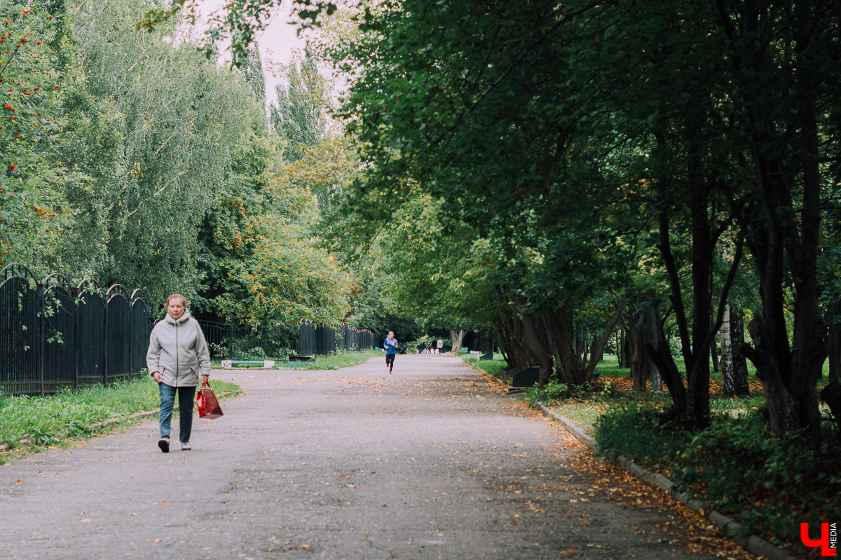 Возрождение Добросельского парка планируется уже не первый год. Город застраивается, а одна из главных рекреационных зон Доброго становится все хуже и хуже. Почему так происходит и когда все изменится - в материале