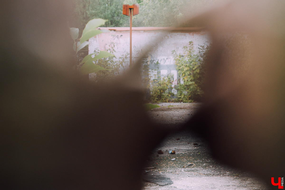 Возрождение Добросельского парка планируется уже не первый год. Город застраивается, а одна из главных рекреационных зон Доброго становится все хуже и хуже. Почему так происходит и когда все изменится - в материале