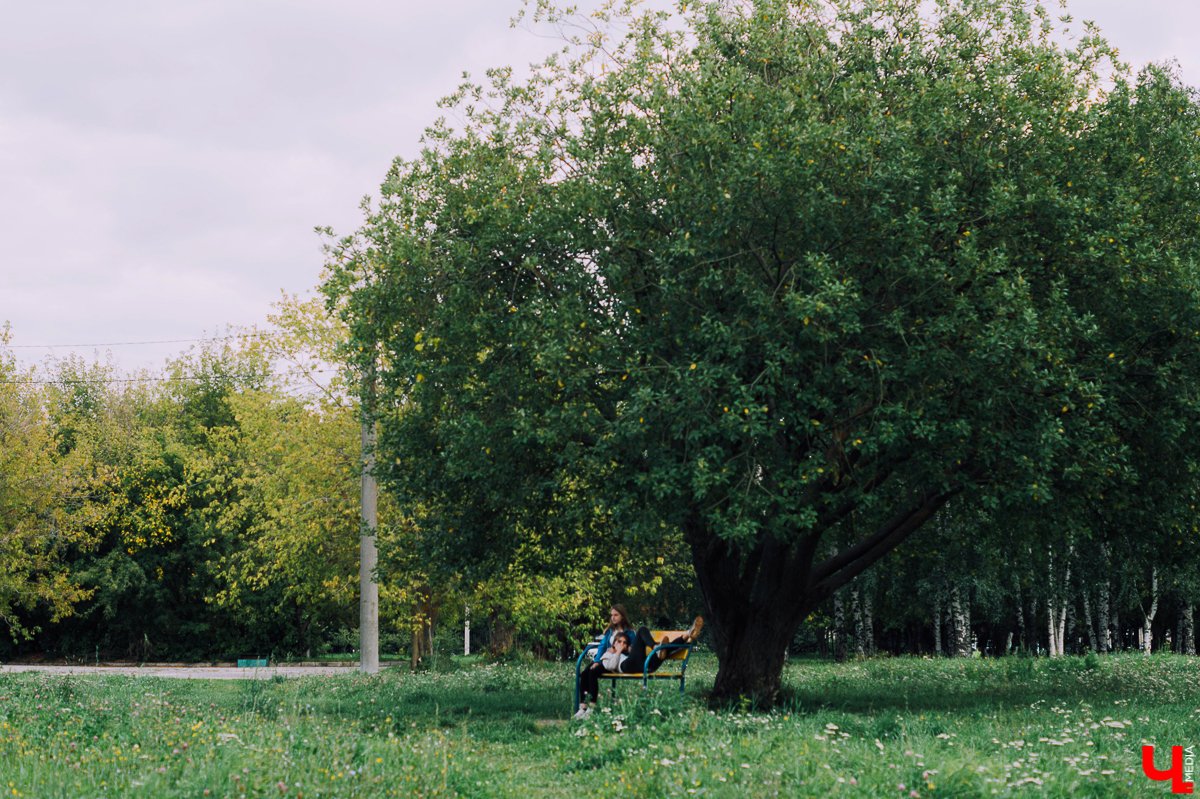 Возрождение Добросельского парка планируется уже не первый год. Город застраивается, а одна из главных рекреационных зон Доброго становится все хуже и хуже. Почему так происходит и когда все изменится - в материале