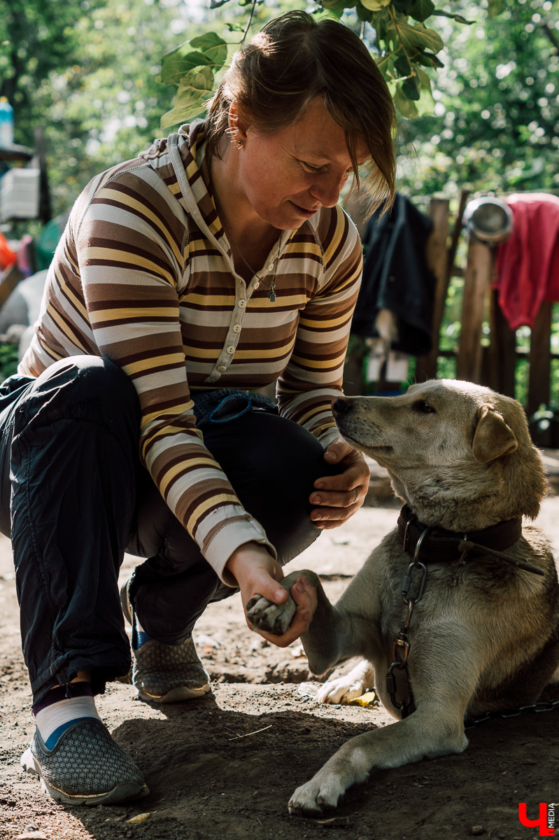 Весной во Владимире начал функционировать мини-приют «Натали» для передержки животных. Основатель и волонтеры берут с улицы всеми забытых щенков, чтобы те не сбивались в стаи и не нападали на людей.