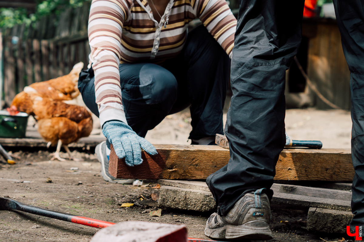 Весной во Владимире начал функционировать мини-приют «Натали» для передержки животных. Основатель и волонтеры берут с улицы всеми забытых щенков, чтобы те не сбивались в стаи и не нападали на людей.