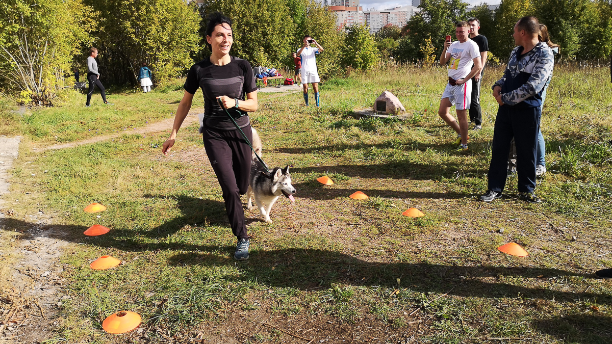 В эти выходные состоялось открытие владимирского паркрана. Каждую субботу в 9 утра в Старых садах все желающие, любители или спортсмены могут совершить пробежку на дистанцию 5 км. Важно, что паркран - не соревнование, а просто приятное времяпрепровождение