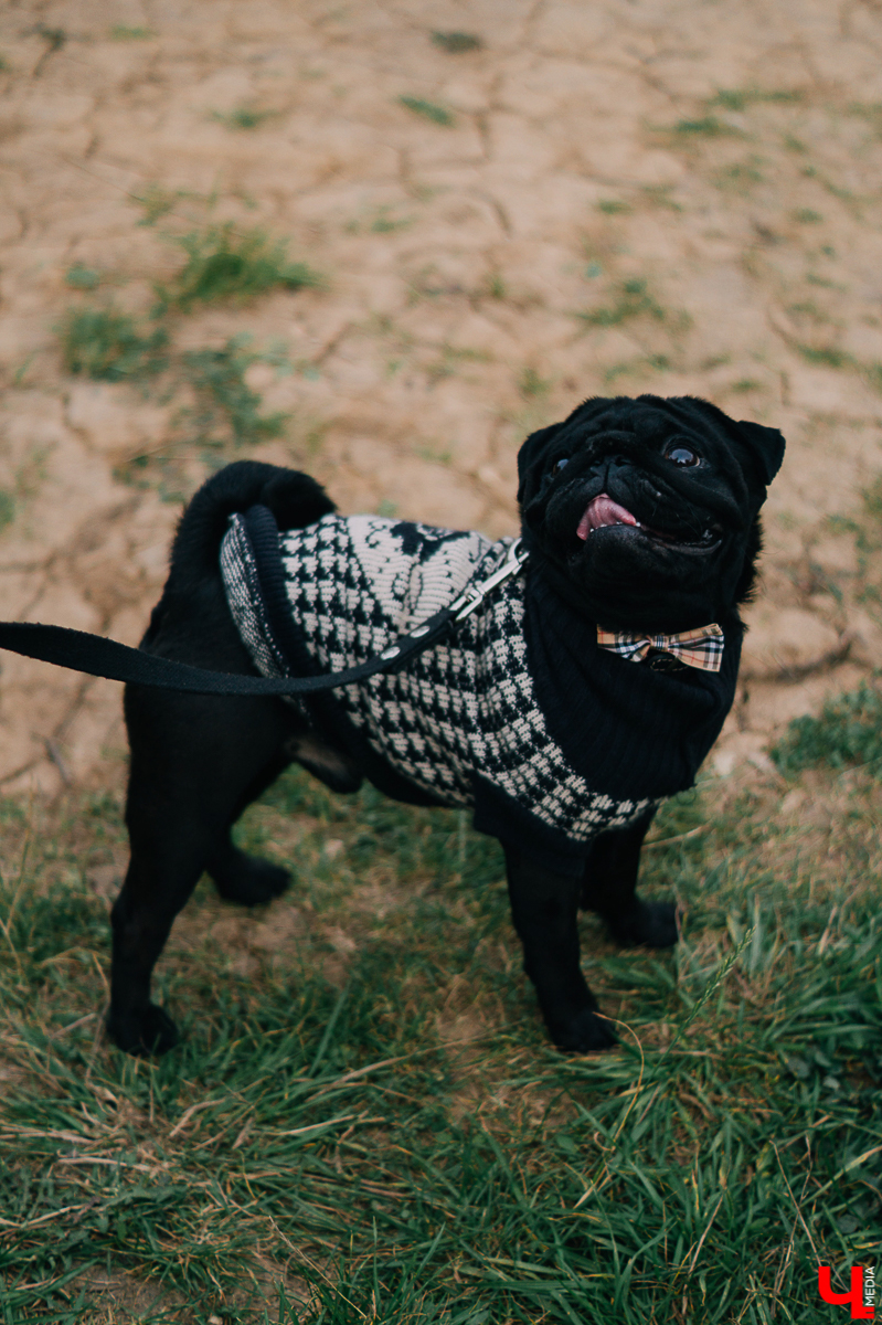 В минувшие выходные в Старых садах у ДТЮ прошел твидовый пикник, который посетило более 100 горожан и туристов. Пришедших ожидали дегустации, мастер-классы, игры, живая музыка и другие развлечения на любой вкус. Одна из главных целей пикника - уберечь зеленую зону от застройки