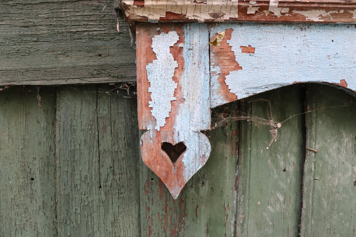 Владимирская команда всероссийского движения “Культурный патруль” следит за благоустройством города и бережно хранит его исторические элементы. Например, наличники, как бы странно это ни звучало.