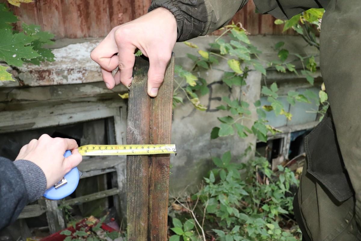 Владимирская команда всероссийского движения “Культурный патруль” следит за благоустройством города и бережно хранит его исторические элементы. Например, наличники, как бы странно это ни звучало.