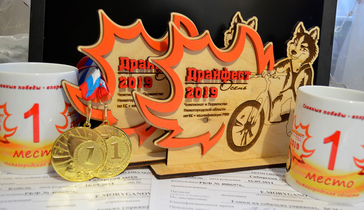 Турнир «Зов предков» стал таким же звездным для Владимира Морыганова и его хаски Оскара, как предыдущий «ДРАЙФЕСТ. Осень 2019». Это уже второе золото тандема по байк-джорингу в сезоне