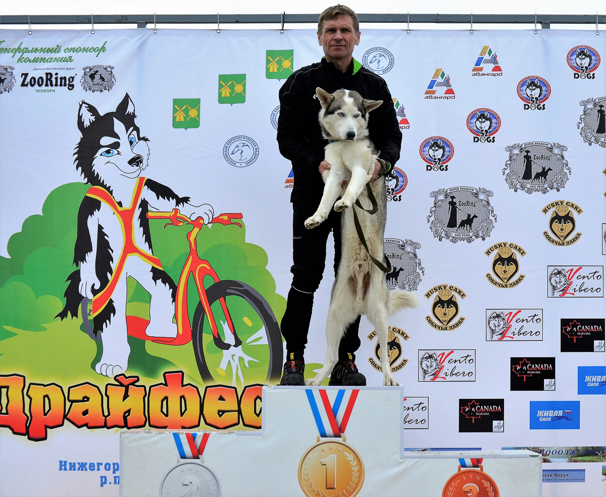 Турнир «Зов предков» стал таким же звездным для Владимира Морыганова и его хаски Оскара, как предыдущий «ДРАЙФЕСТ. Осень 2019». Это уже второе золото тандема по байк-джорингу в сезоне