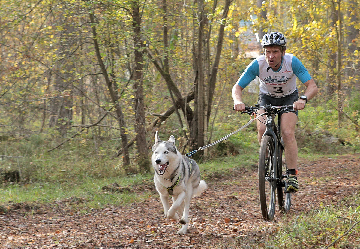 Турнир «Зов предков» стал таким же звездным для Владимира Морыганова и его хаски Оскара, как предыдущий «ДРАЙФЕСТ. Осень 2019». Это уже второе золото тандема по байк-джорингу в сезоне