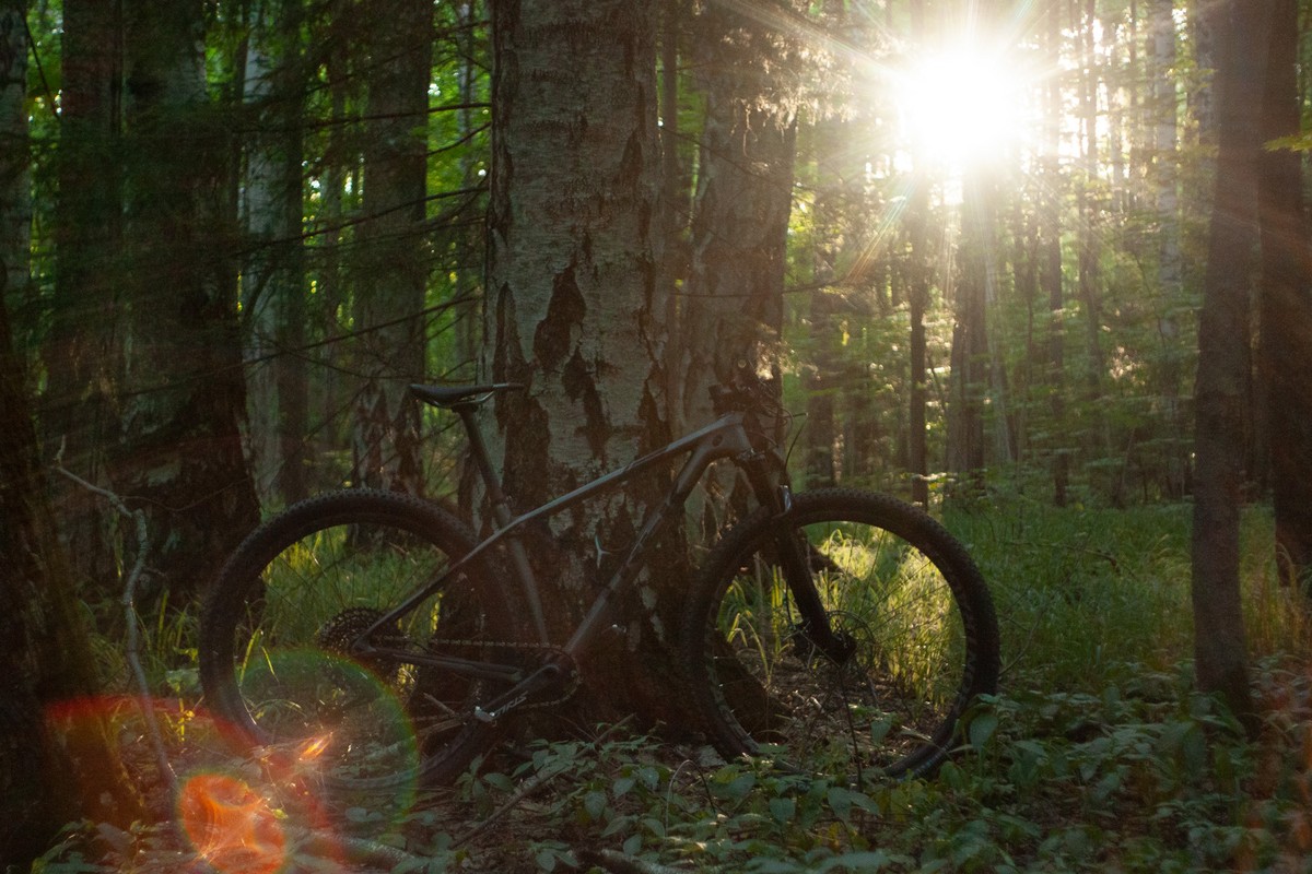 Приобщиться к спорту после покупки “умных часов”, порвать связку из-за нелепой случайности в автобусе, провести на дистанции целый день. Владимирские “железные люди” рассказывают о своем спортивном опыте