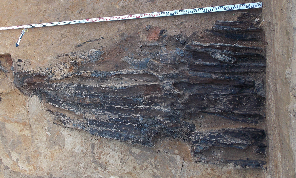 Прошел семинар “Археология Владимиро-Суздальской земли”. Мы расспросили его участников о самых значимых находках минувшего сезона раскопок