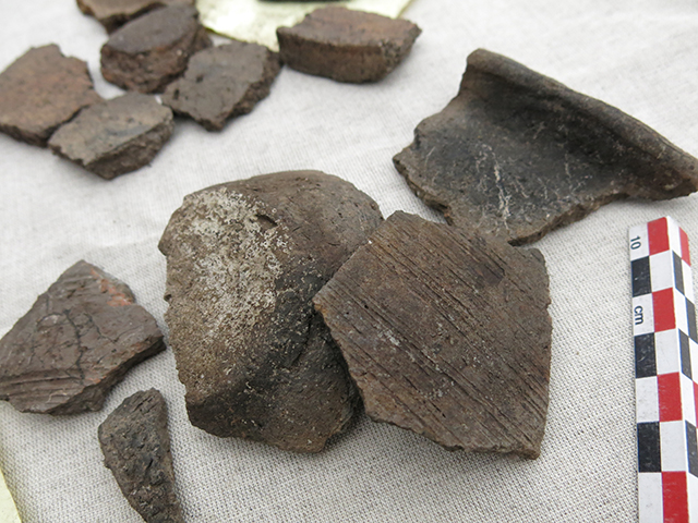 Прошел семинар “Археология Владимиро-Суздальской земли”. Мы расспросили его участников о самых значимых находках минувшего сезона раскопок