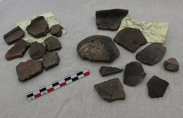 Прошел семинар “Археология Владимиро-Суздальской земли”. Мы расспросили его участников о самых значимых находках минувшего сезона раскопок