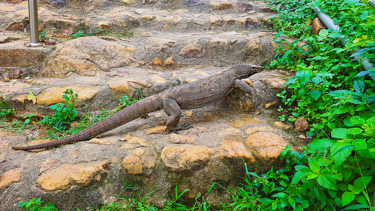 Всего за один год семейная пара Юлия и Никита Красновы из Владимира побывали в 12 европейских и 6 азиатских странах. Причем без миллионных накоплений за душой. Нам они рассказали, что обязательно брать с собой в дорогу, кухня какой страны самая вкусная и как легко распознать своих за границей