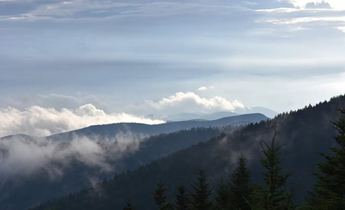 Пока большинство сверстников проводит летние каникулы на диване, ребята с факультета иностранных языков открывают свои “Америки” и зарабатывают деньги, а потом рассказывают об этом поучительные истории