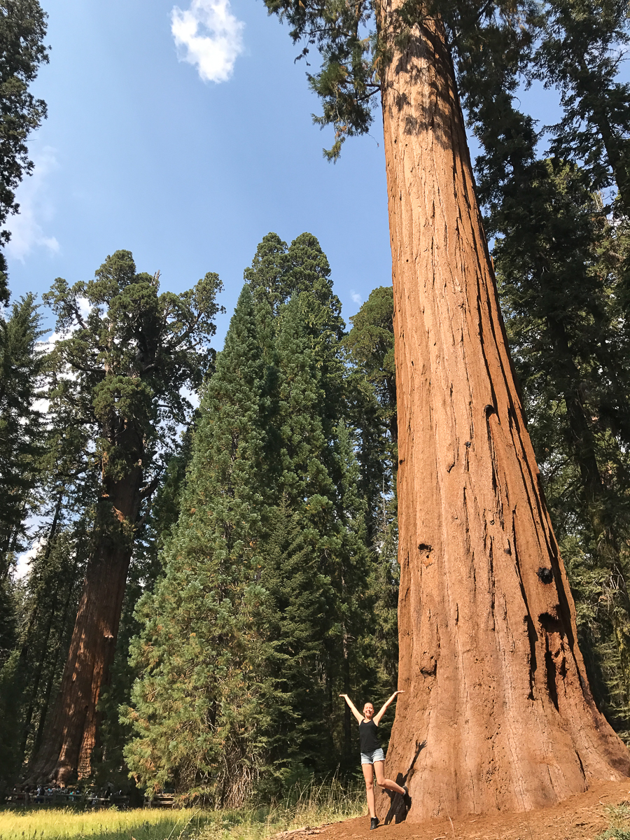 Пока большинство сверстников проводит летние каникулы на диване, ребята с факультета иностранных языков открывают свои “Америки” и зарабатывают деньги, а потом рассказывают об этом поучительные истории