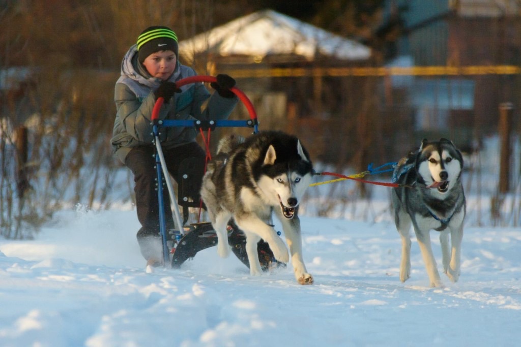 Через тернии к инновациям. Необычная история “Новой лыжной фабрики”, которую возродили в Ставрово в 2006 году